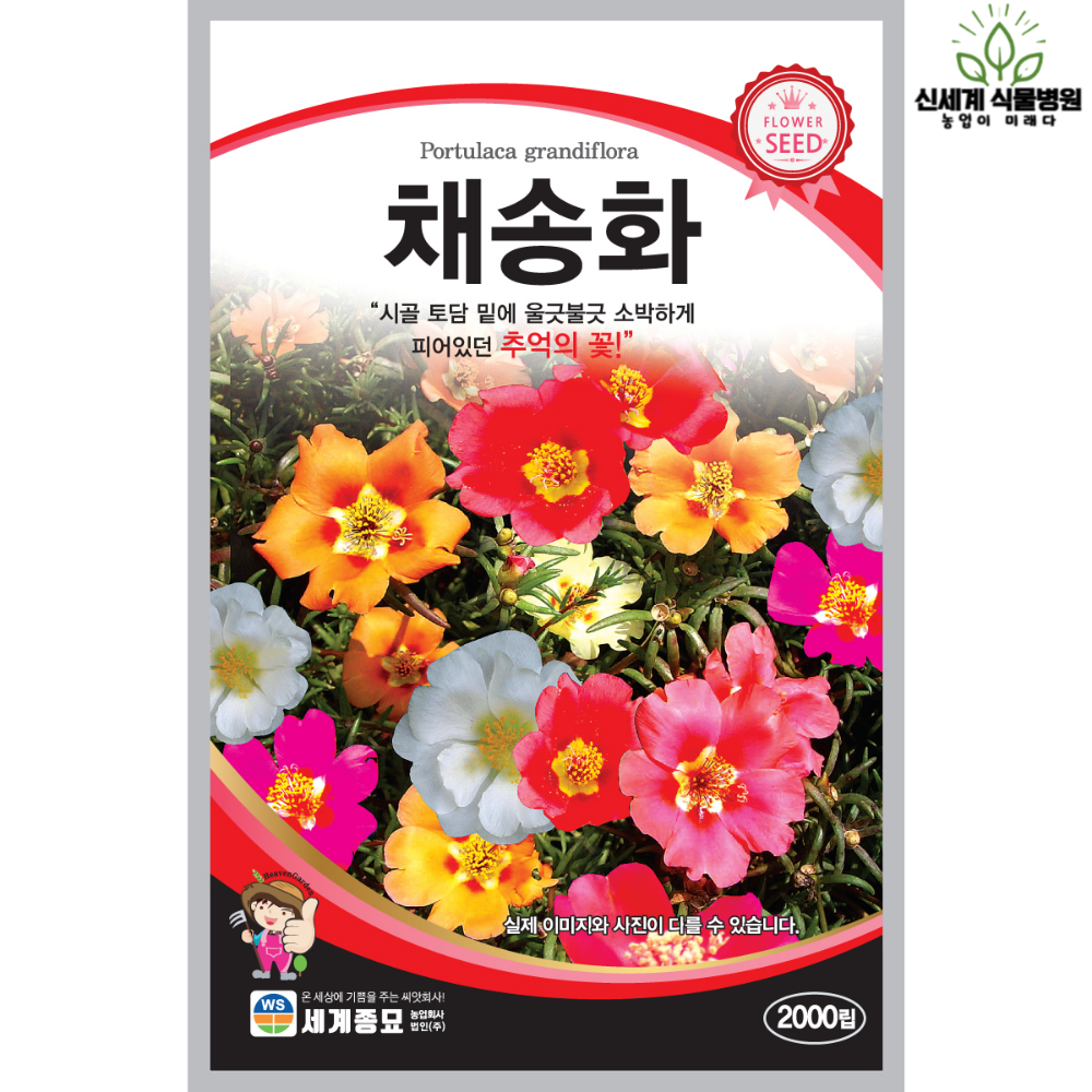 채송화 2000립 / 씨앗 종자 일년생 꽃씨 꽃밭 화단 조경 정원 : 신세계식물병원