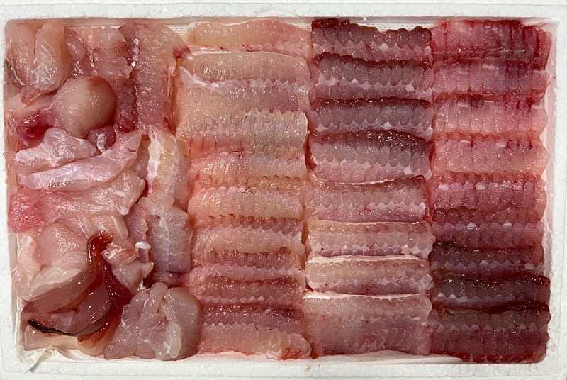 대청도홍어,흑산도홍어,500g,600g,1kg목포 동부수산 : 목포동부수산