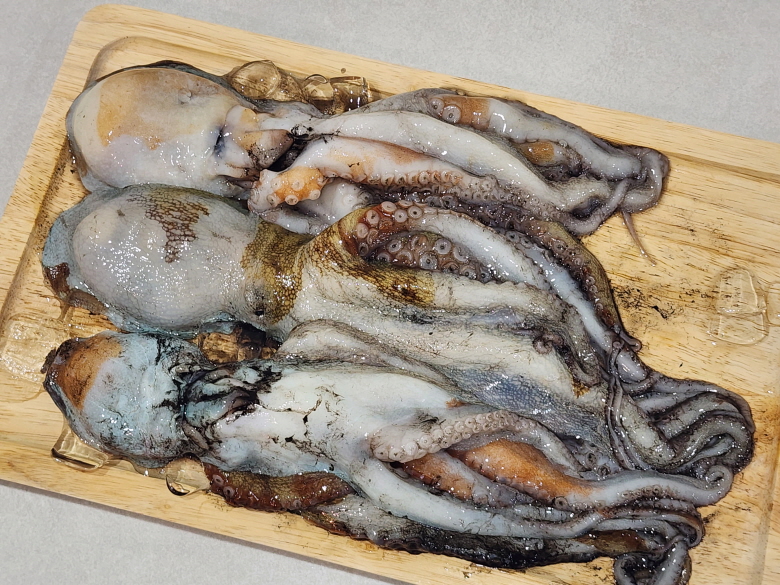 통통 돌문어 1kg : 수산물 사장님
