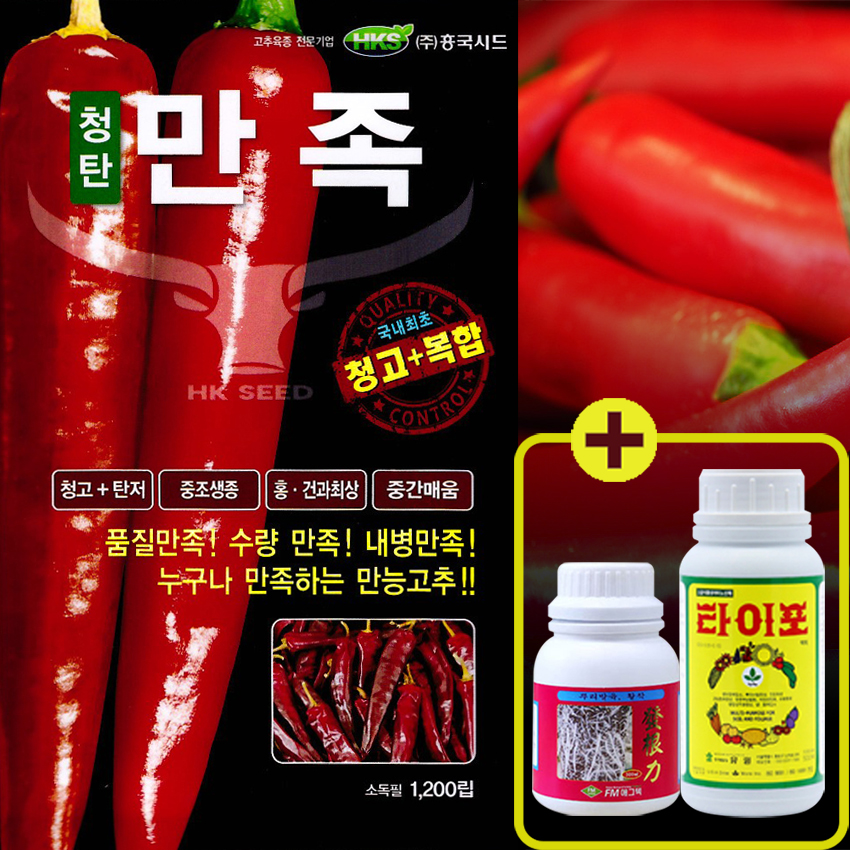 순별 고추 씨앗 1200립  청고복합  순한매움 조생종 빵빵초  흥국시드 : 큰들상사