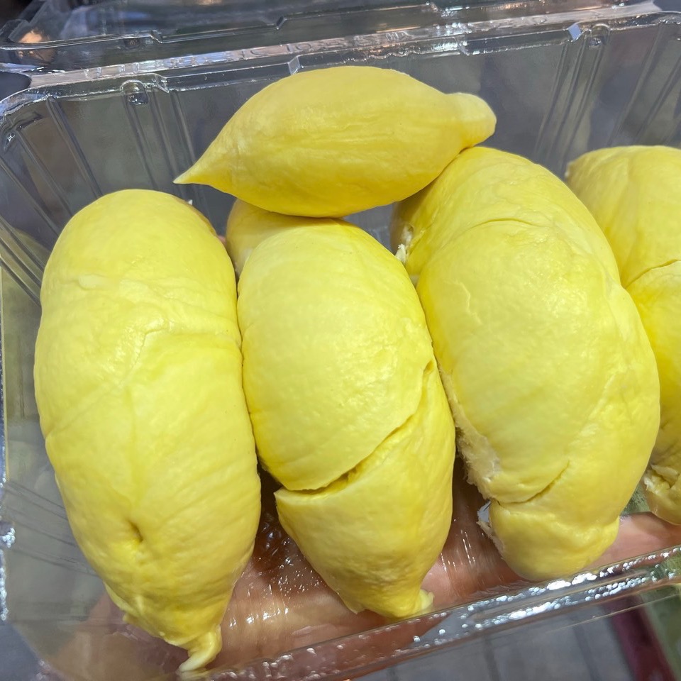 프리미엄 생두리안 항공직송 고당도 통 두리안 태국 베트남 2-2.5kg : 온푸릇