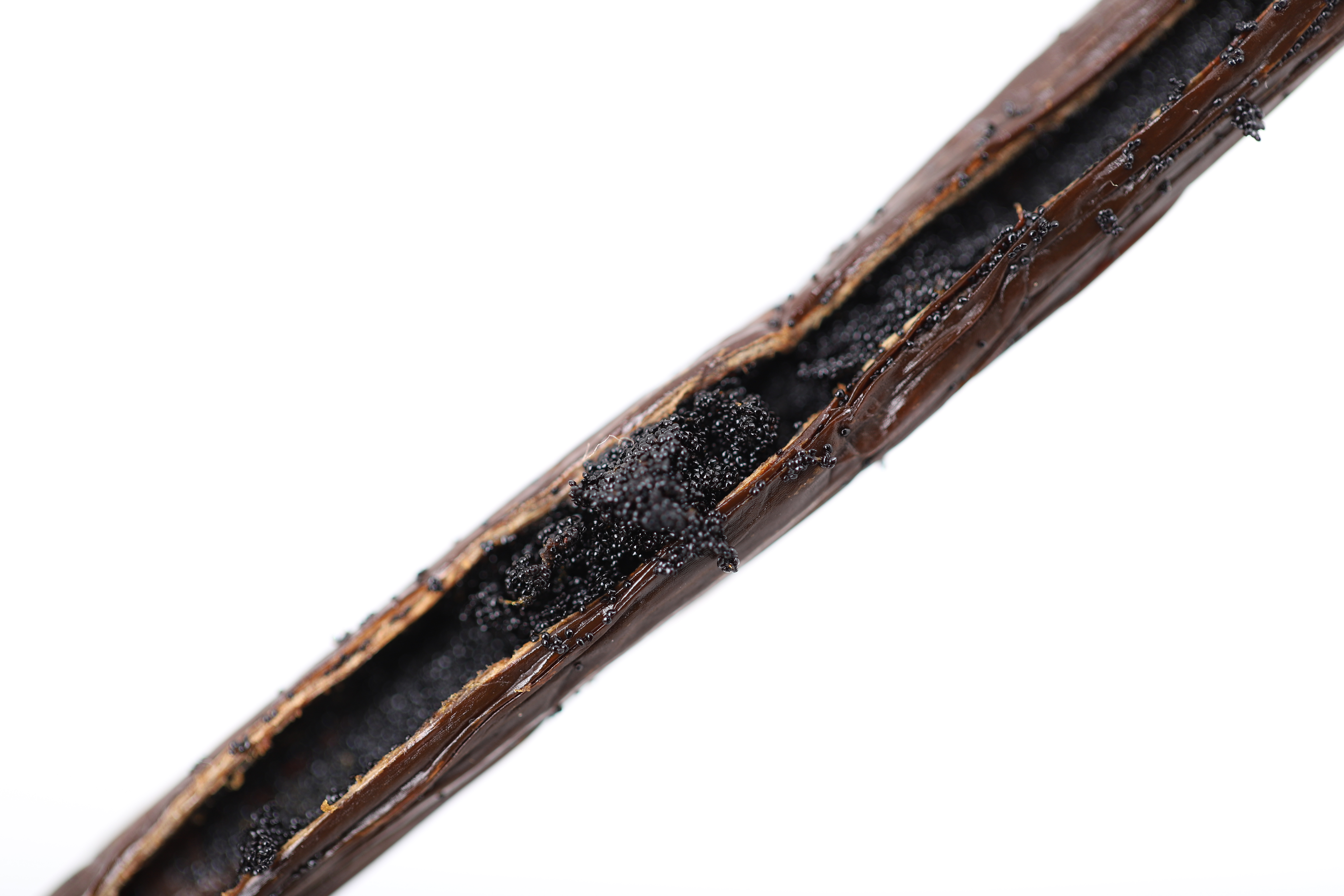 바바스 마다가스카르 바닐라빈 A등급 25g : 바오바닐라