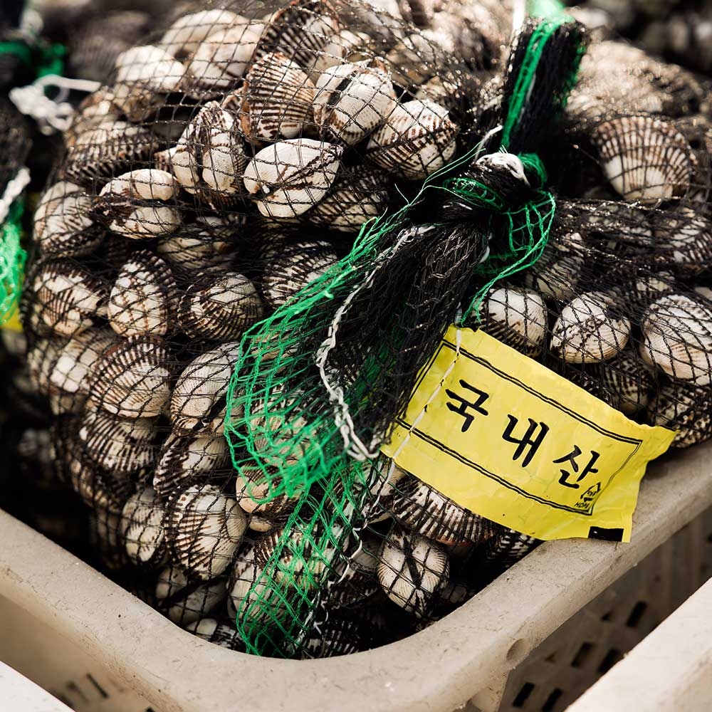 반도수산 꼬막 국내산 제철 봄 가을 겨울 새꼬막 피꼬막 참꼬막 업소용 식당용 10kg : 반도 수산