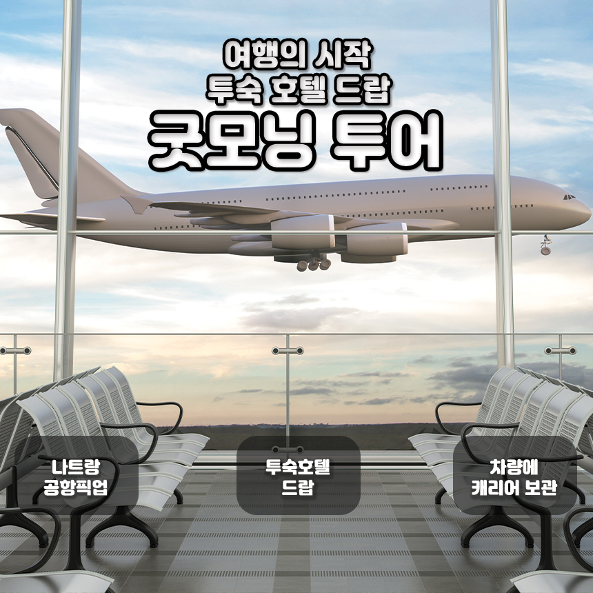 나트랑 굿모닝투어+공항픽업 (오전항공편+환전소+덤시장+롯데마트) : 해피드리머.