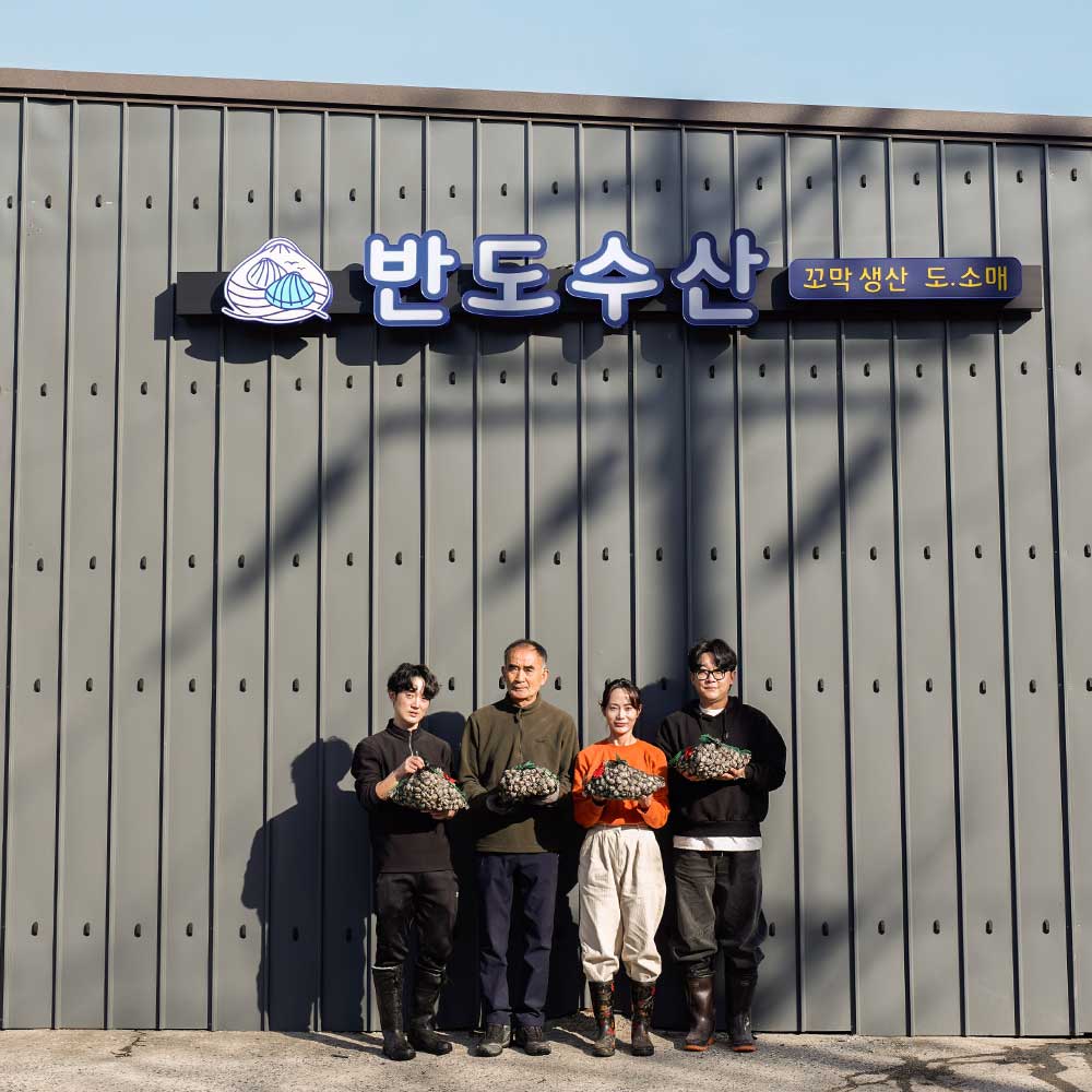 반도수산 꼬막 국내산 제철 봄 가을 겨울 새꼬막 피꼬막 참꼬막 업소용 식당용 10kg : 반도 수산