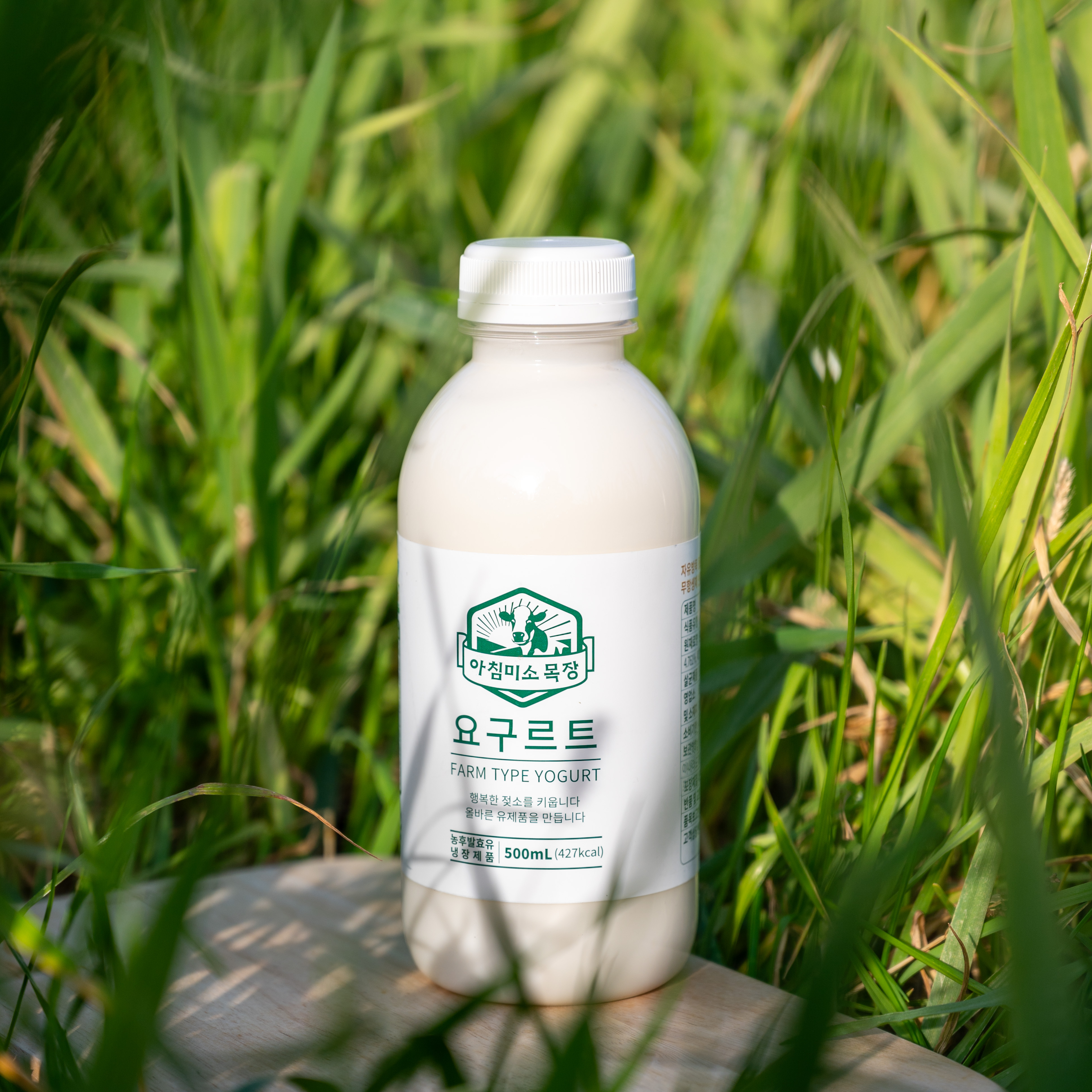 제주아침미소목장 팜타입요구르트 500ml 자유방목동물복지원유사용 신선 아침대용 플레인 쾌변요거트 : 제주 아침미소목장