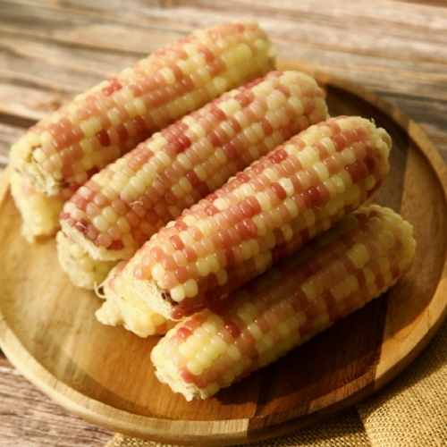 홍찰 옥수수 백찰옥수수 20개 : 까치농수산