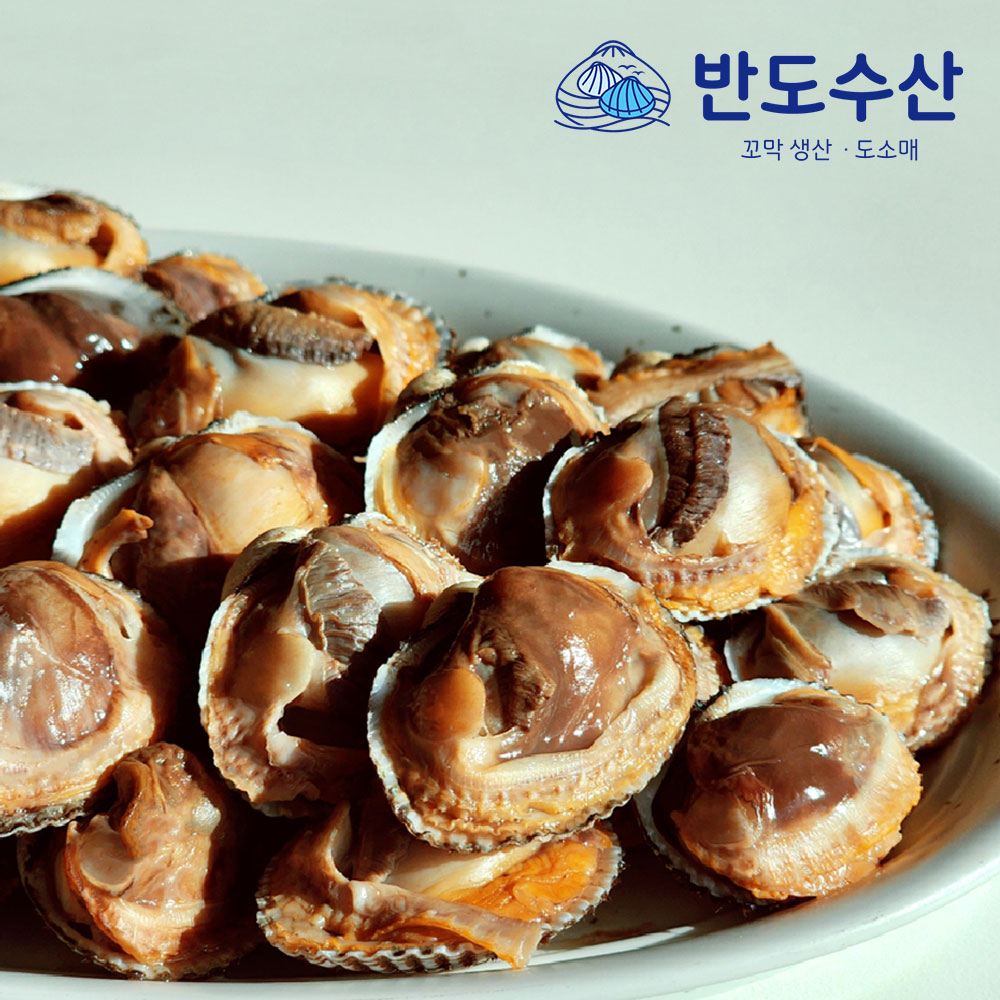생산자 직판  벌교 새꼬막 1kg 특대 내일도착 : 반도 수산