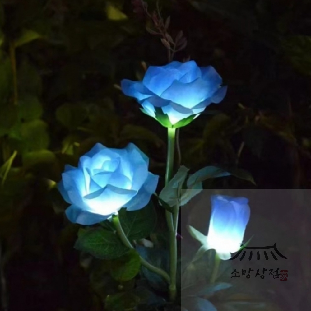 장미 LED 태양광 꽃정원등(블루) 태양광 : 생활용품추천 소망상점