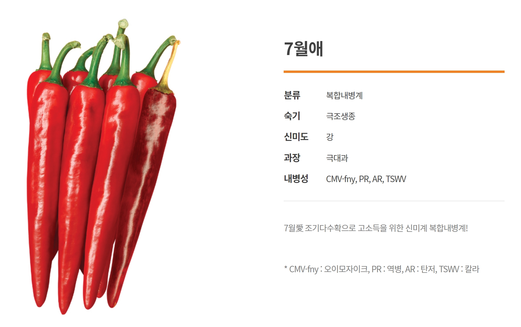 칠월애 7월애 다나씨드 고추씨앗 1200립 고추종자 복합내병계 품종 : 한국농자재마트