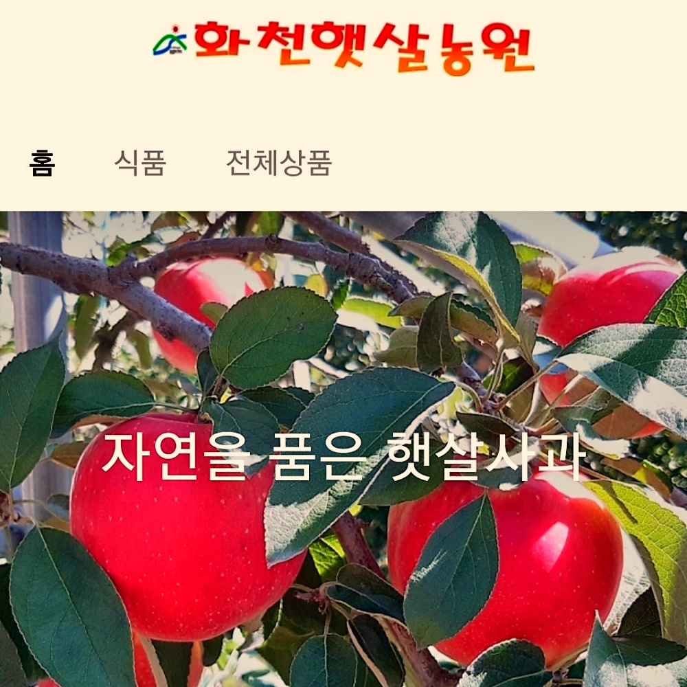 강원도 꿀사과 못난이사과 부사 사과선물세트 5kg : 화천햇살농원