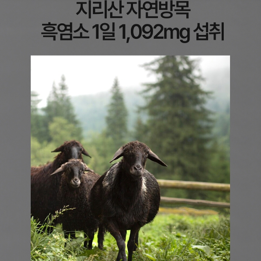 국내산 자연방목 흑염소 진액 추출액 분말 참당귀 백수오 산수유 : 수상한 알약상점