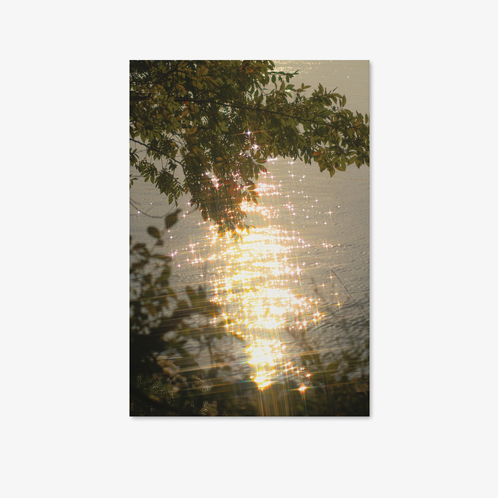 [Postcard 29]Shining lights 윤슬 풍경 엽서 : 마이오운밸류