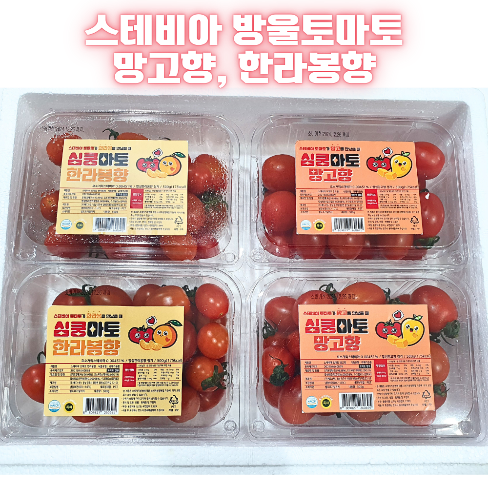 망고향 스테비아 방울 토마토 토망고 단마토 싱싱 탱탱 달콤 500g, 4개 : 퍼니몽마켓
