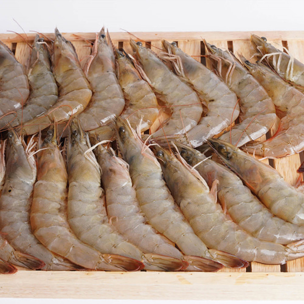 국내산 전남 고흥 급냉 흰다리 새우 1kg 제철 왕 냉동 생 새우살 대하구이 회 : 맑은 자연을 담은 삼흥식품
