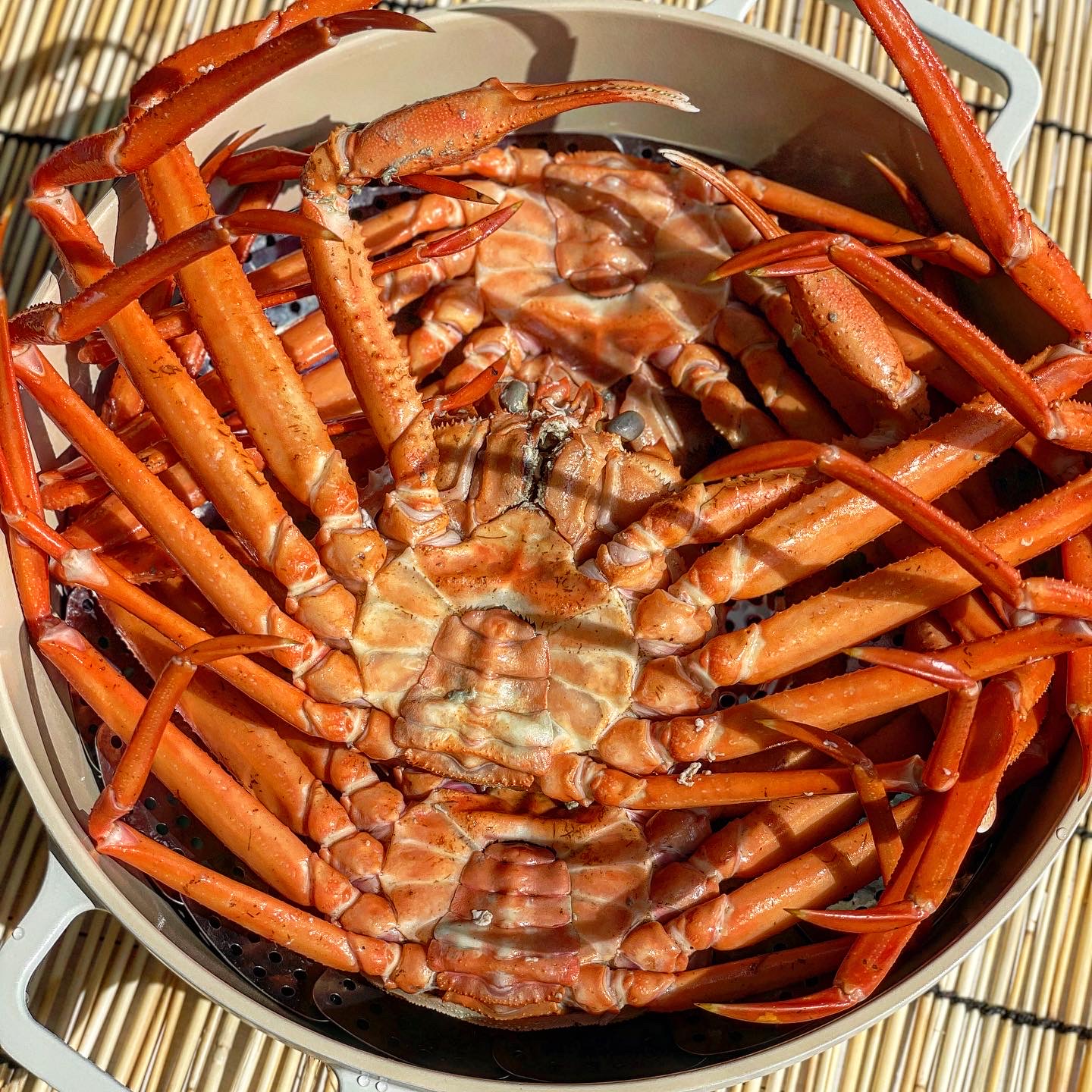 [밴드전용] 포항 구룡포 연지홍게 6kg 수율 80% 이상 찜발송 : 동네어부들