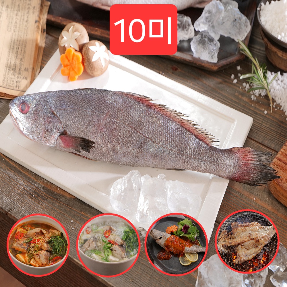 어부수산 녹차품은 여수 반건조 민어 입맛을 부탁해 : 쌍둥이아빠 스토어