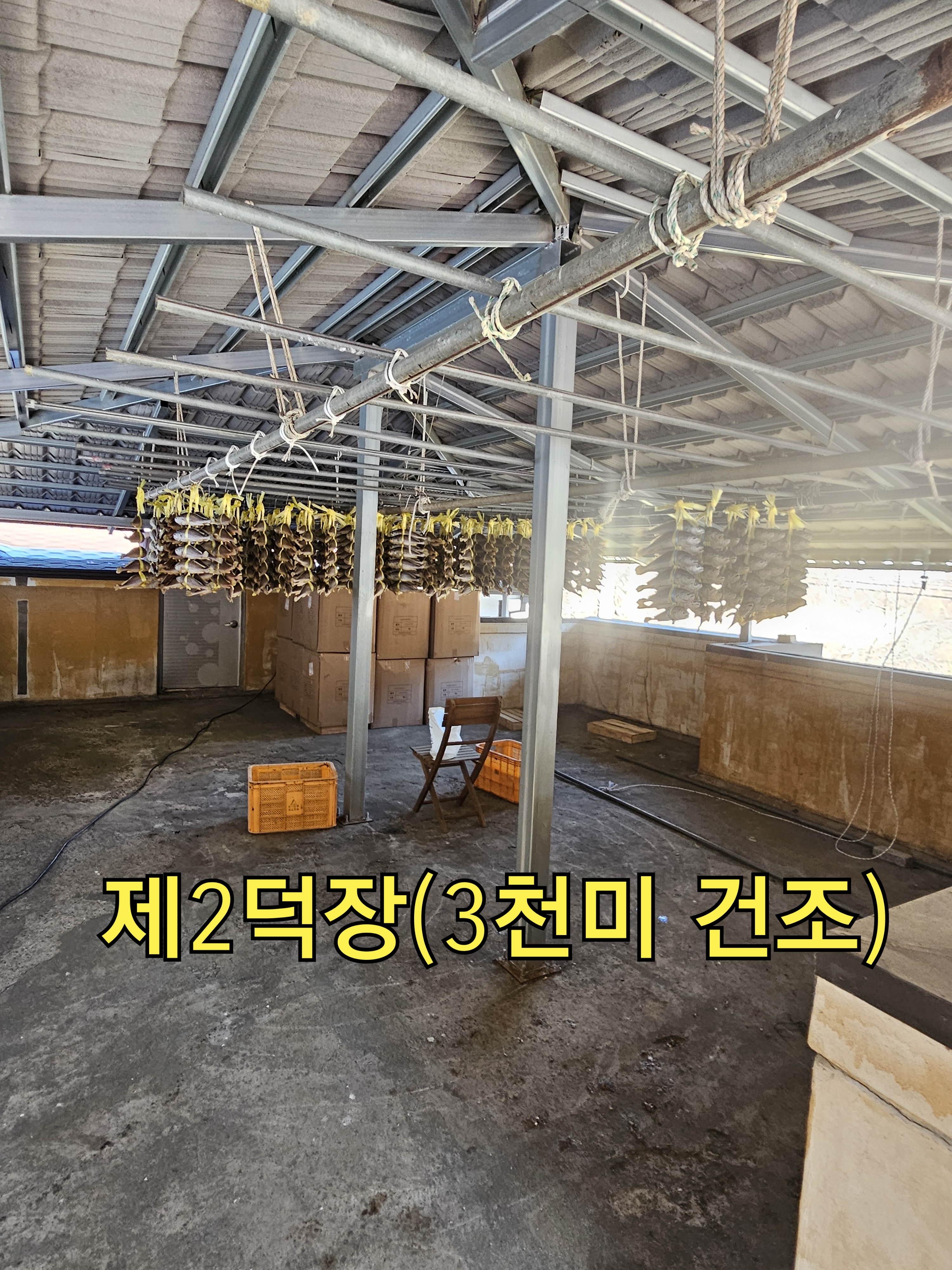 비린네 진짜1도없는 옥천솔내음굴비 특10미(29~31cm)    비늘과내장을제거하였슴니다 : 떡판들산골생선