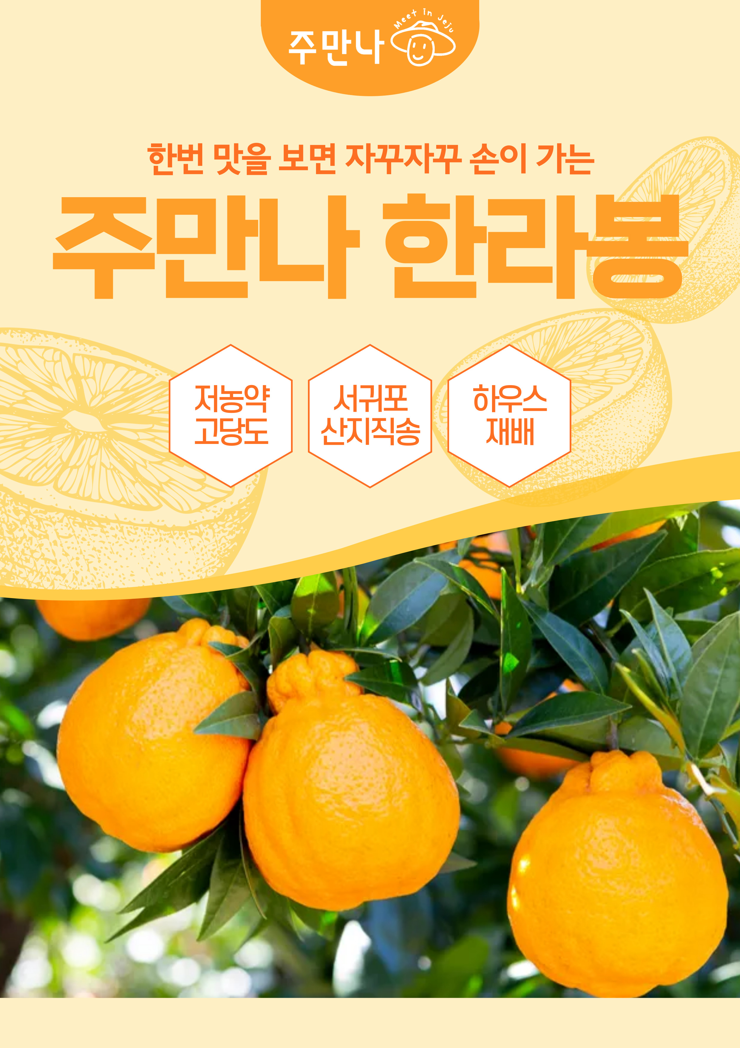 산지직송 새콤달콤 제주 서귀포 주만나 한라봉 가정용 5kg 10kg : 주만나주