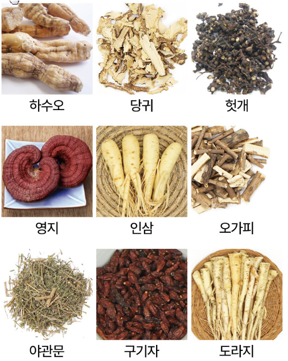 [물처럼 마시는 홍삼 달임기] 오쿠 건강드림 대용량 약탕기 7L 홍삼제조기 OCC-WP10 : 오쿠