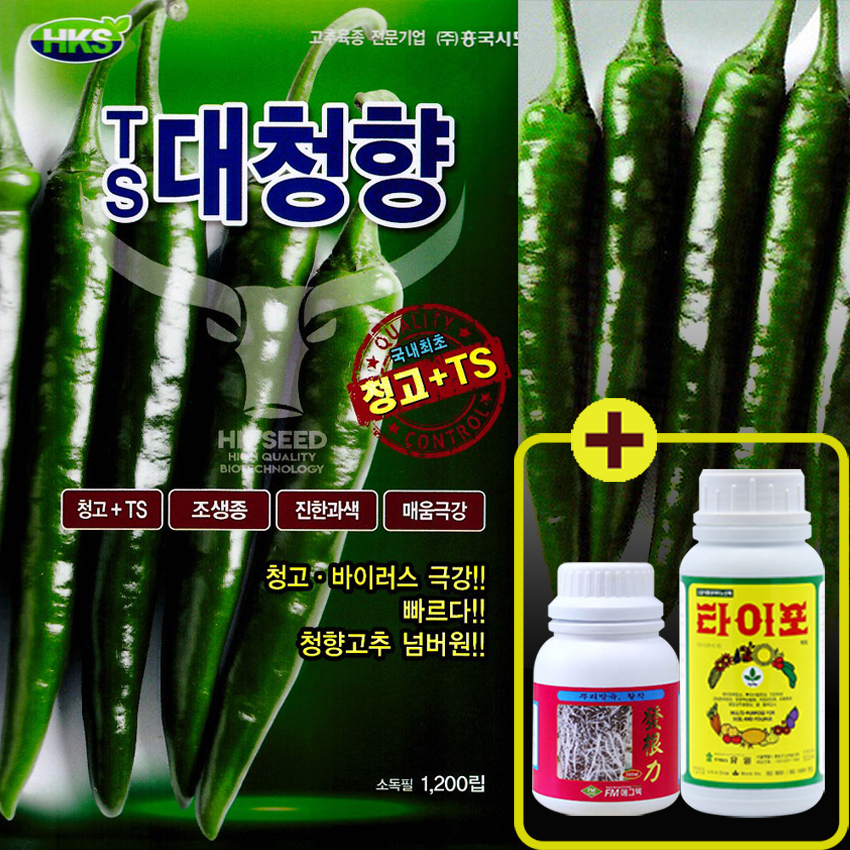 TS 대청향 청양고추 1200립 고추종자씨 조생종 청량고추 청고 바이러스 매움극강 흥국시드 : 큰들상사
