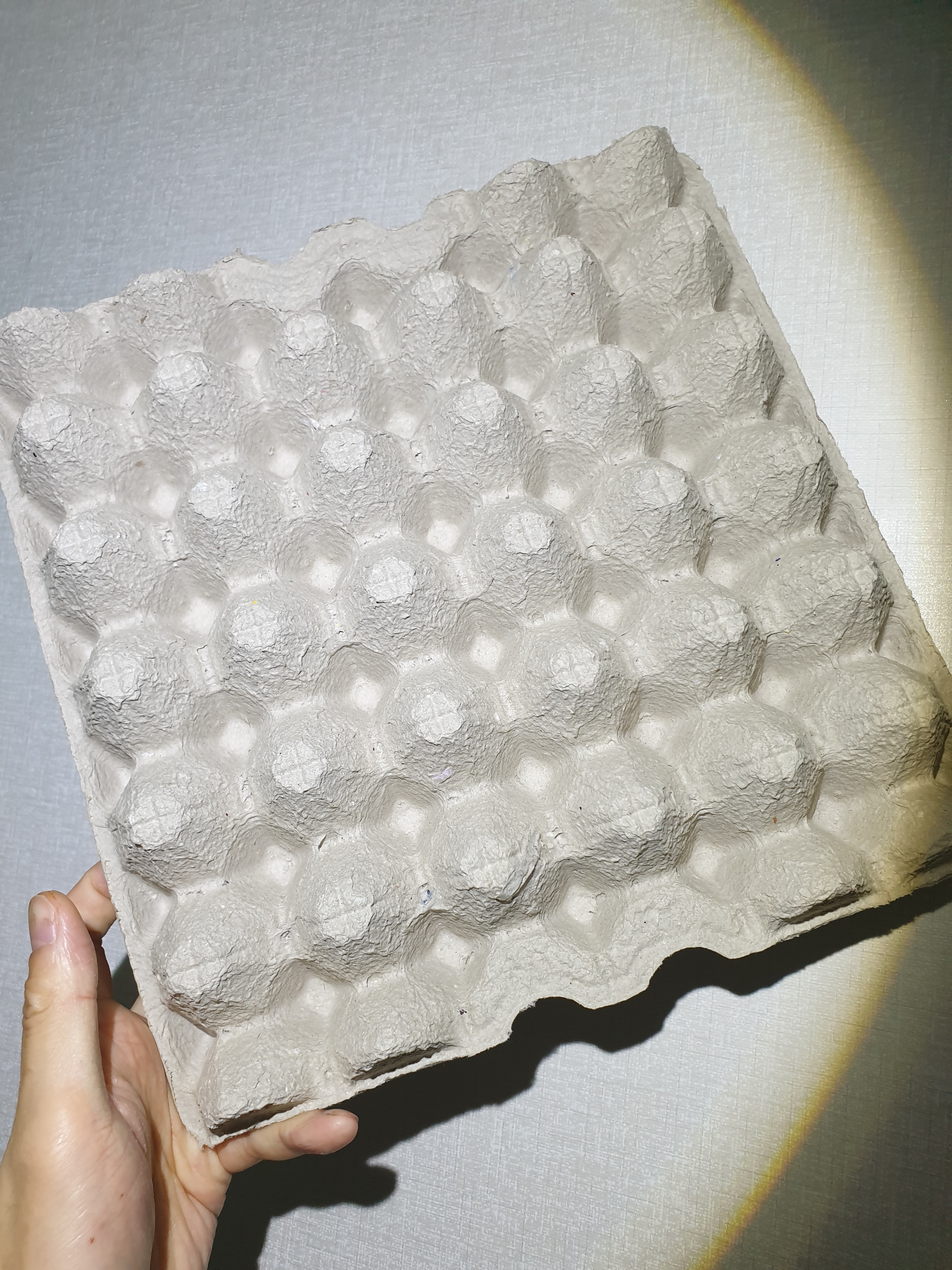 계란판 : StoneFLY shop