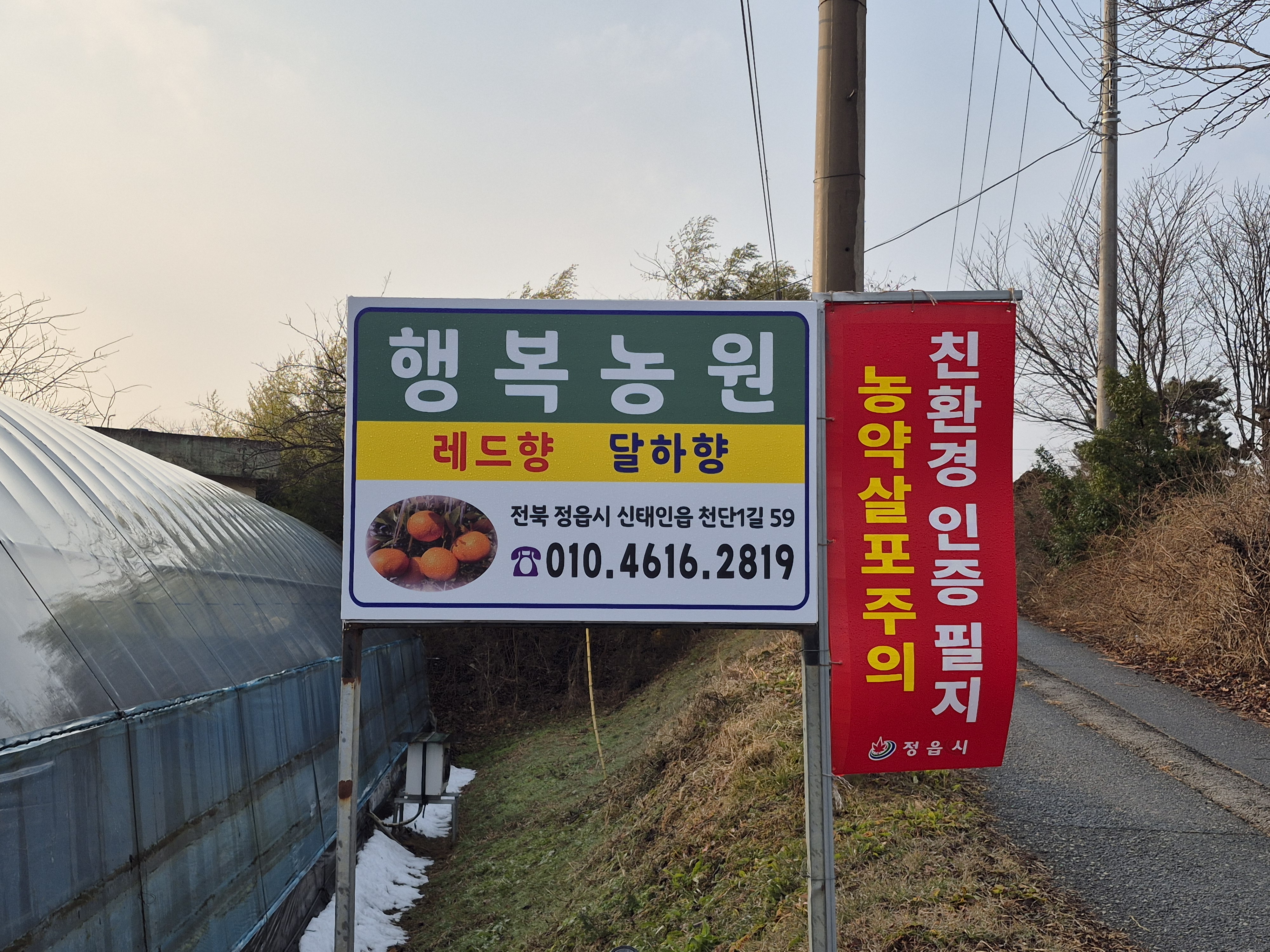 친환경 무농약 정읍 레드향, 달하향 [실중량 3kg] : 정읍 행복농원