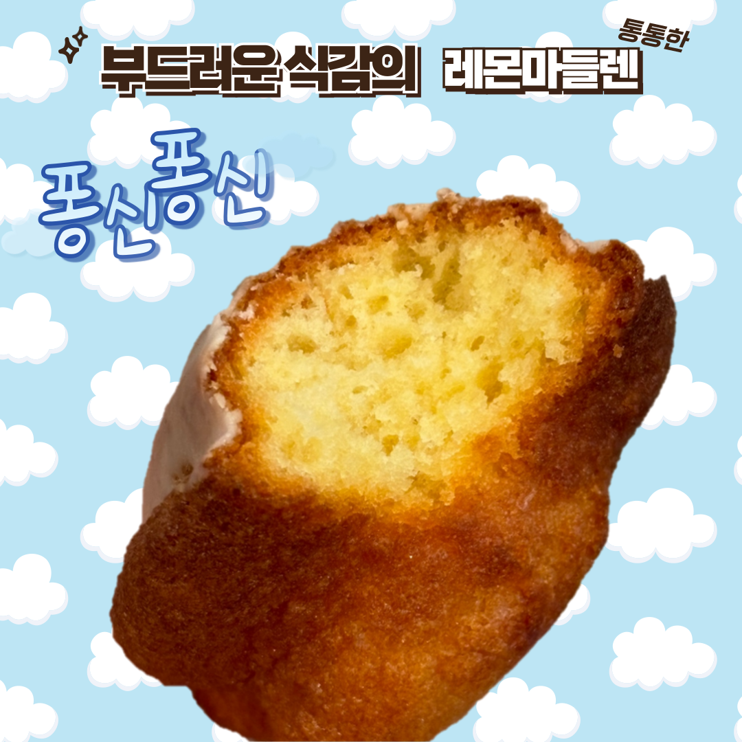 오늘은지은다방/수제디저트/구움과자/마들렌/휘낭시에/휘낭시에맛집/택배맛집/택배가능 : 오늘은지은다방