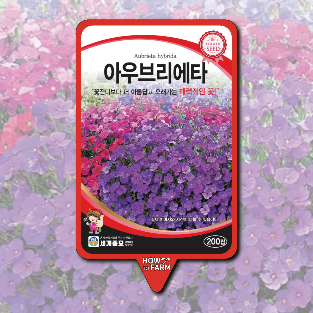 꽃씨 아우브리에타 씨앗 200립 오브리에타 : 하우투팜