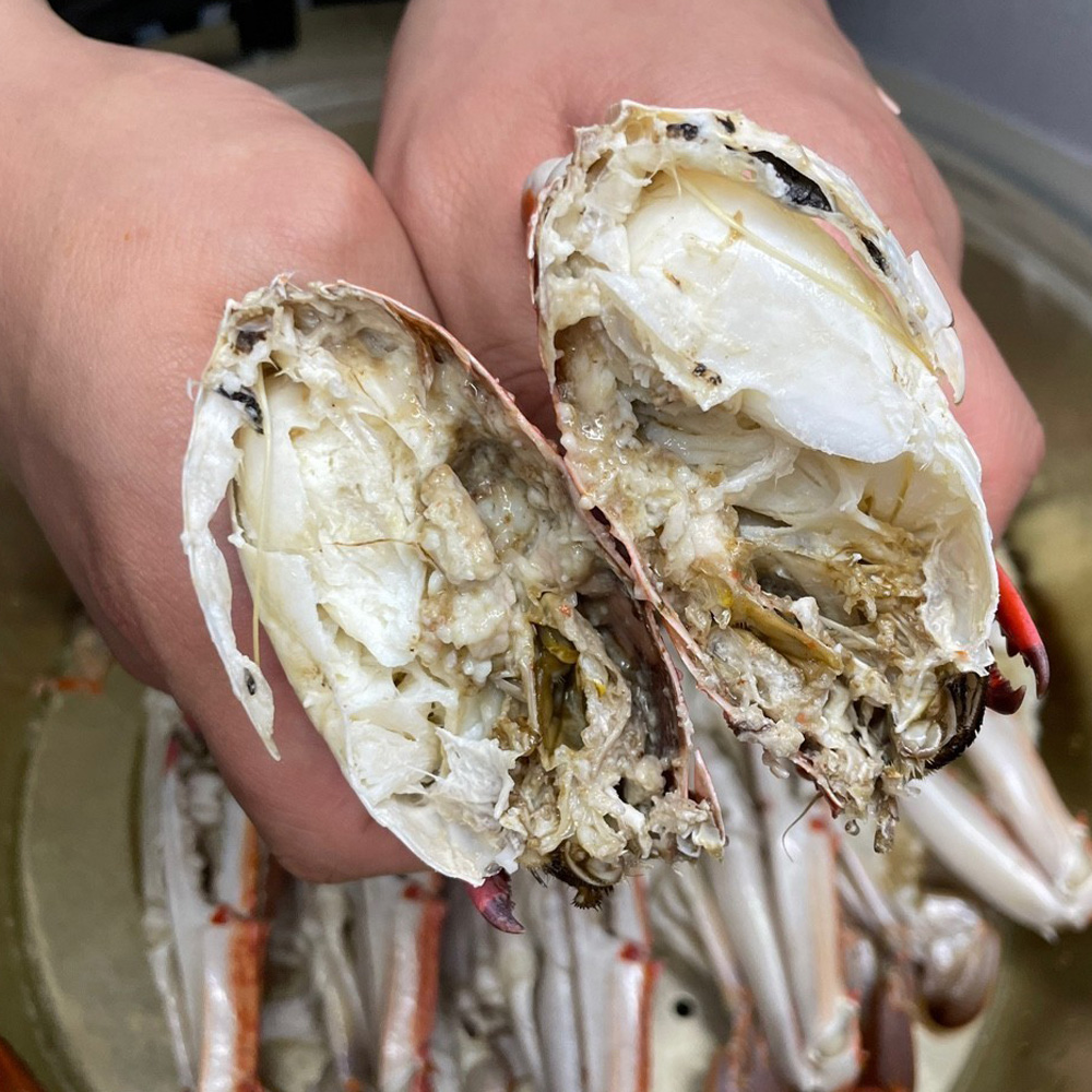 꽃게철 급속냉동암게 암꽃게 꽃게1키로 시세 급냉 꽃게 제철 연평도 곶게 1kg 꽃게탕 : 바로보담