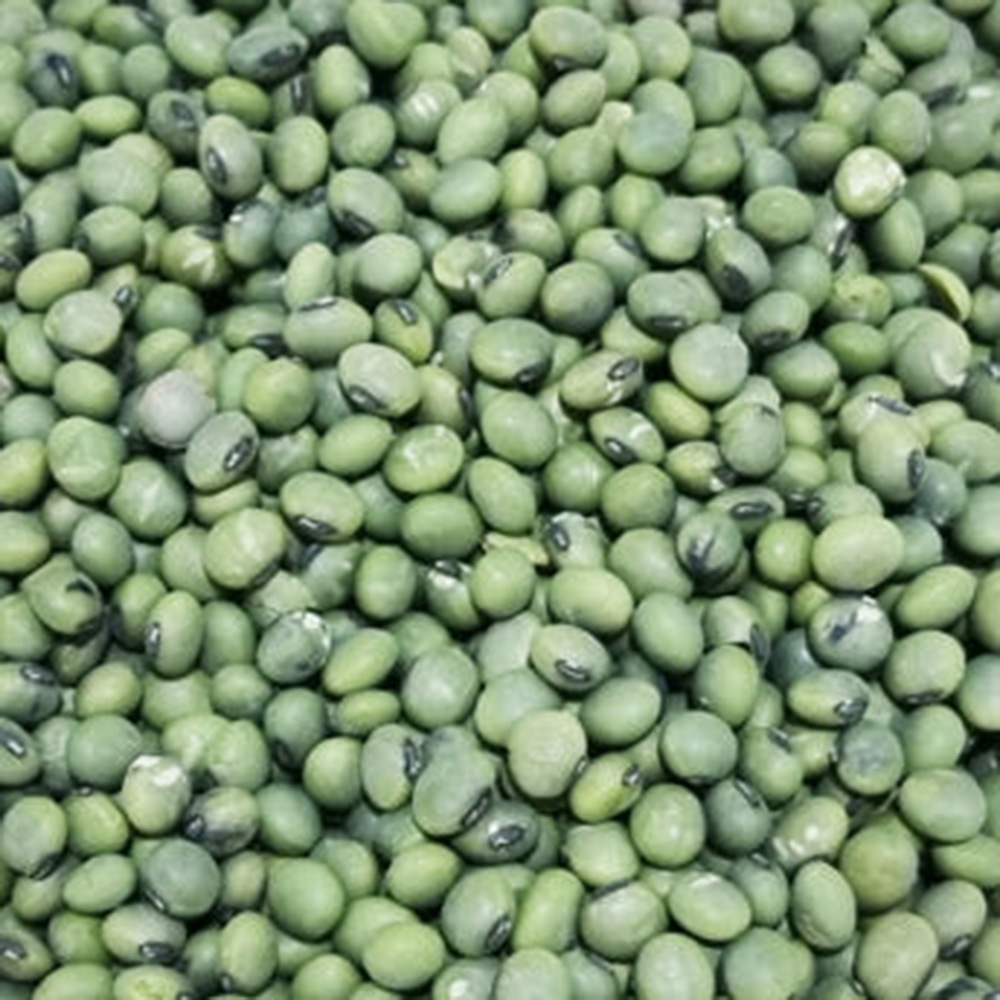 국산 청태 1kg 푸른콩 파란콩 2024년산 햇곡 : 한끼농산잡곡