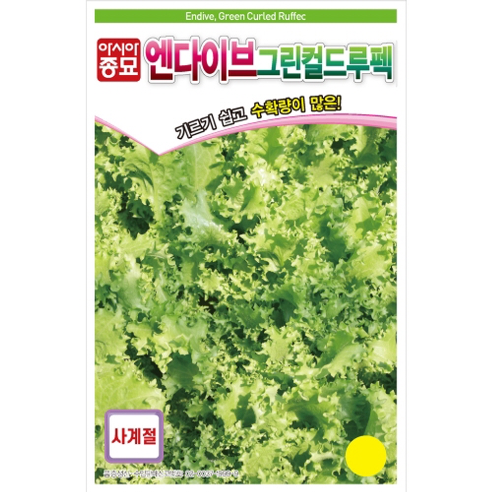엔다이브 그린컬드루펙 1500립 치커리 종자 씨 씨앗 채소 아시아종묘 : 늘품씨앗