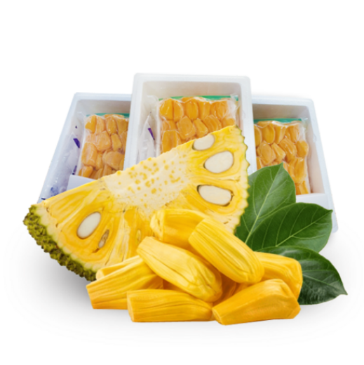잭푸르츠 잭푸르트 잭프롯 베트남 냉동 잭후르츠 2kg : 썬 마트