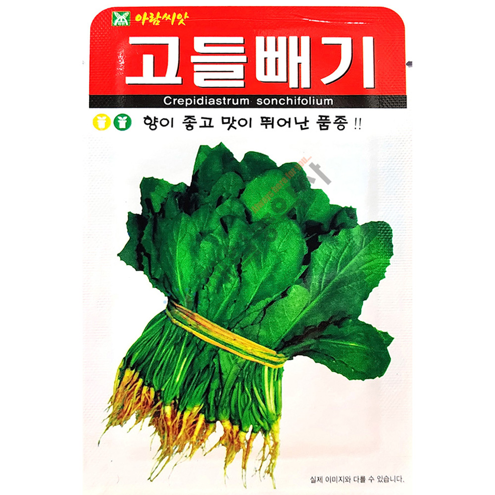 고들빼기 3000립 25년 : 제일농약사