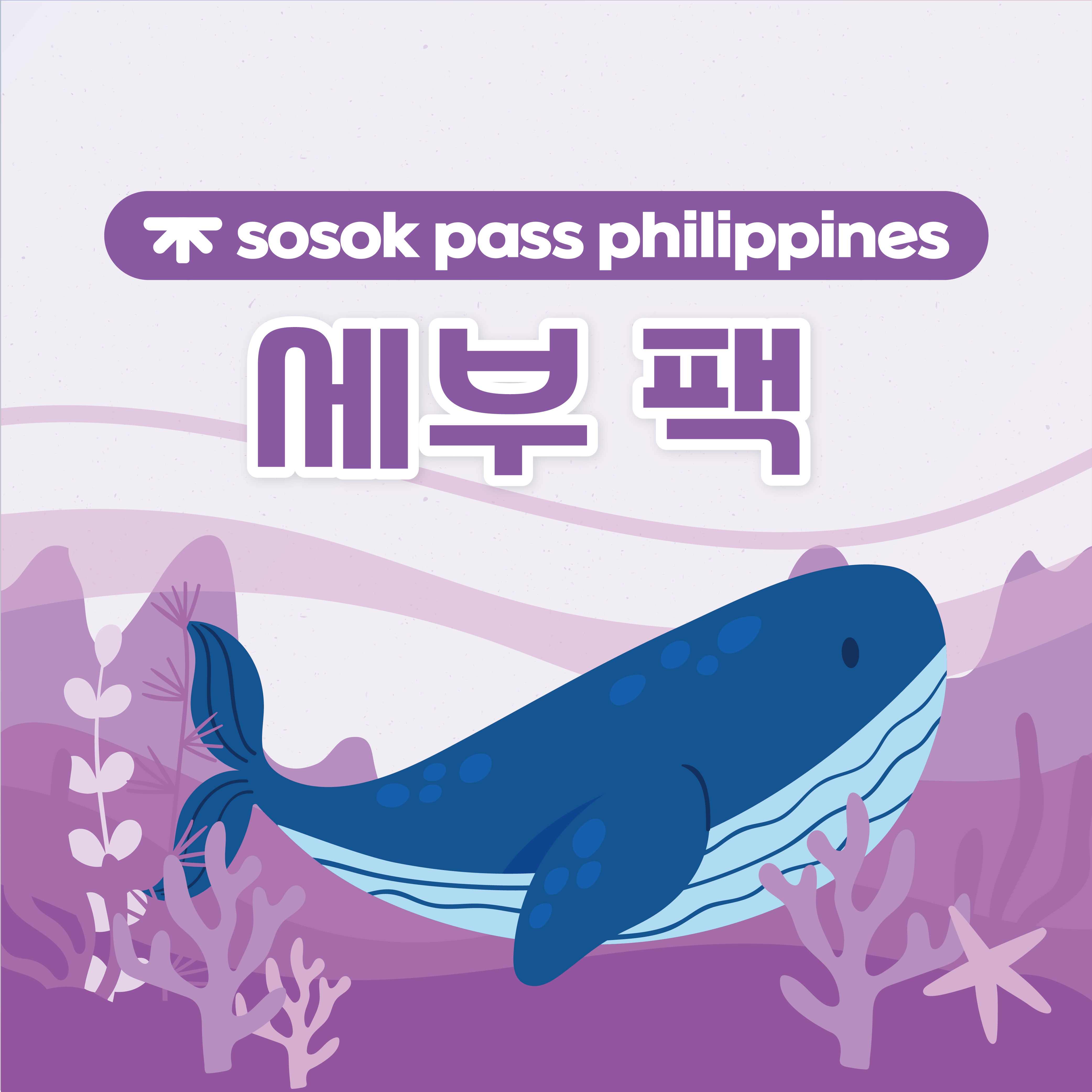 [sosok] 세부 올인원팩 : 소속패스