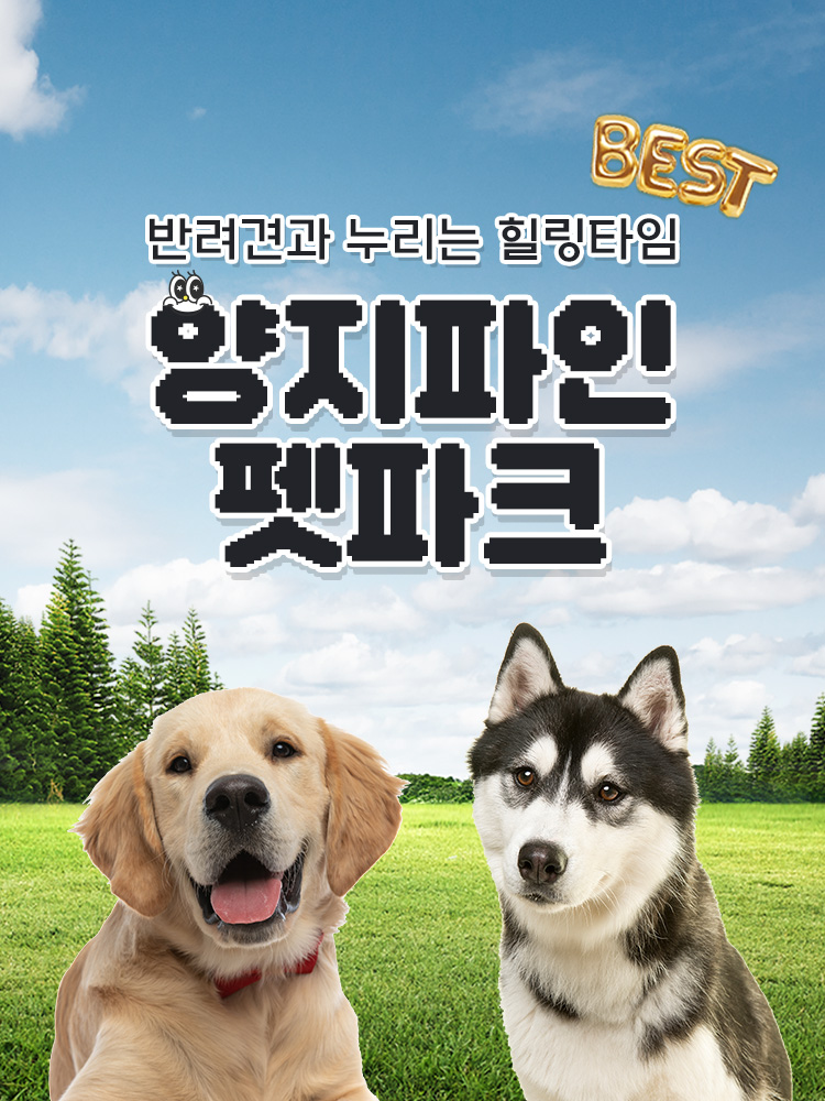 용인 양지파인리조트 펫파크 입장권 / 야외 애견카페 반려견 놀이터 운동장 대형견 가볼만한곳 : 온오프믹스