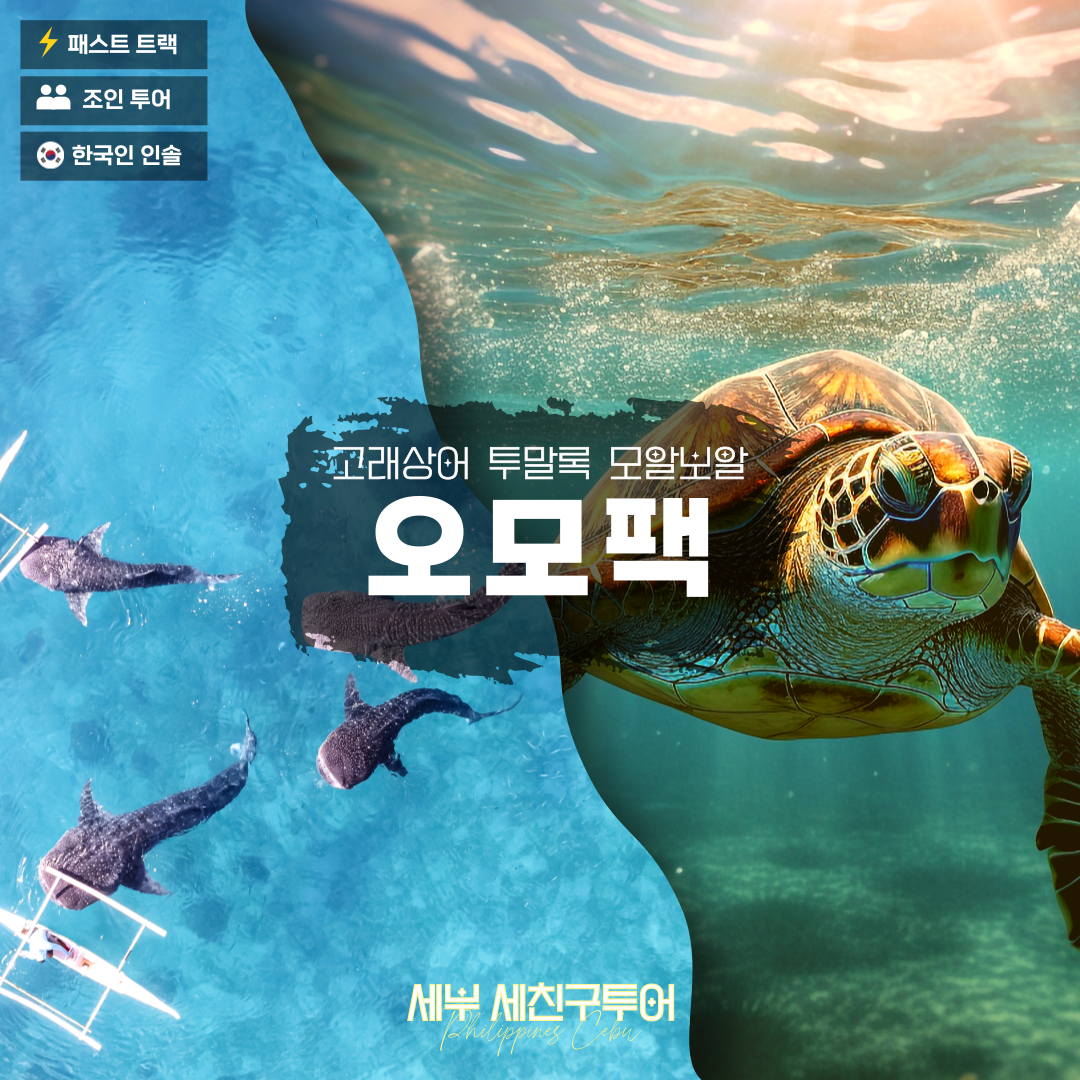 세친구투어 [오모팩] 세부 고래상어 투말록폭포 모알보알호핑 원데이투어 : 세친구투어