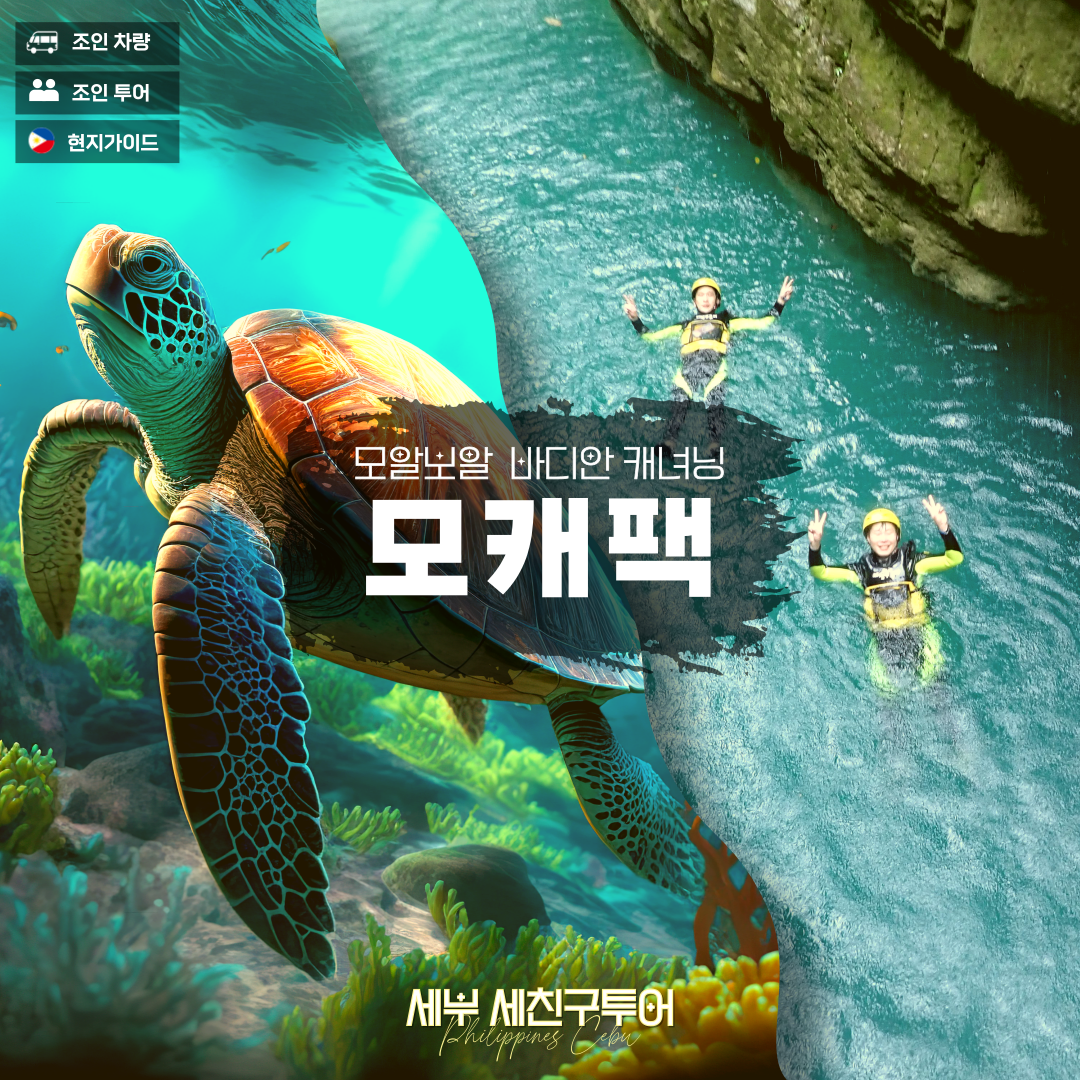 세친구투어 [모캐팩] 가와산캐녀닝 모알보알 거북이 정어리떼를 하루만에 : 세친구투어
