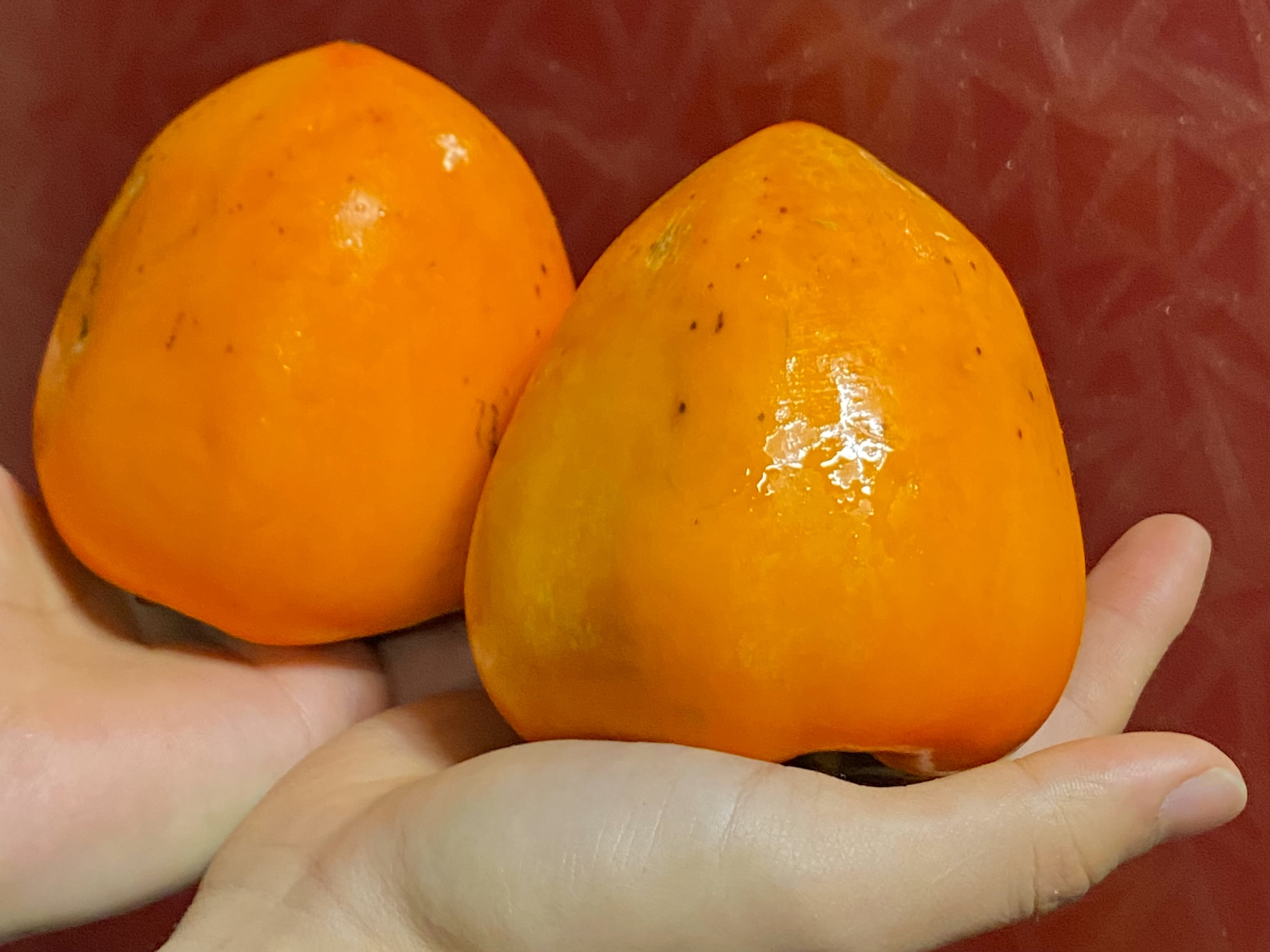 ♥영양간식 추천♥ 영암 금정 대봉감말랭이 500g, 1kg / 감말랭이 선물 / 감말랭이 간식! : 에코팜 영농조합법인