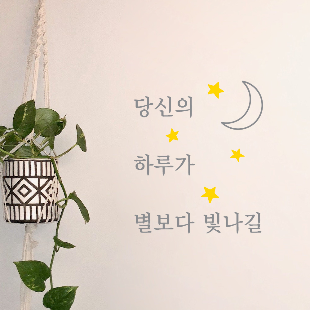 L58 당신의하루가 별보다빛나길 - 컬러 드로잉 감성문구 좋은글 레터링 창문 현관 카페 : 채움스티커