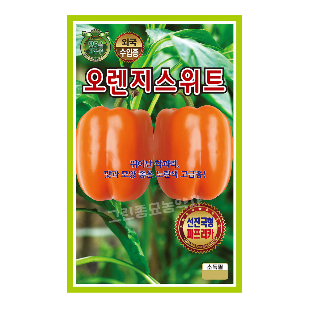 KS 오렌지스위트 파프리카 500립 씨앗 종자 주황파프리카 모종 텃밭 KS종묘 : 허수아비정원