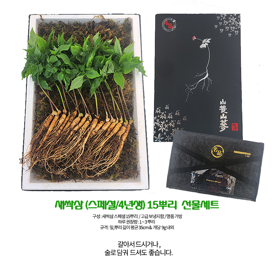 신령삼 새싹삼,새싹인삼 스페셜15뿌리 선물세트 : 신령삼 새싹삼