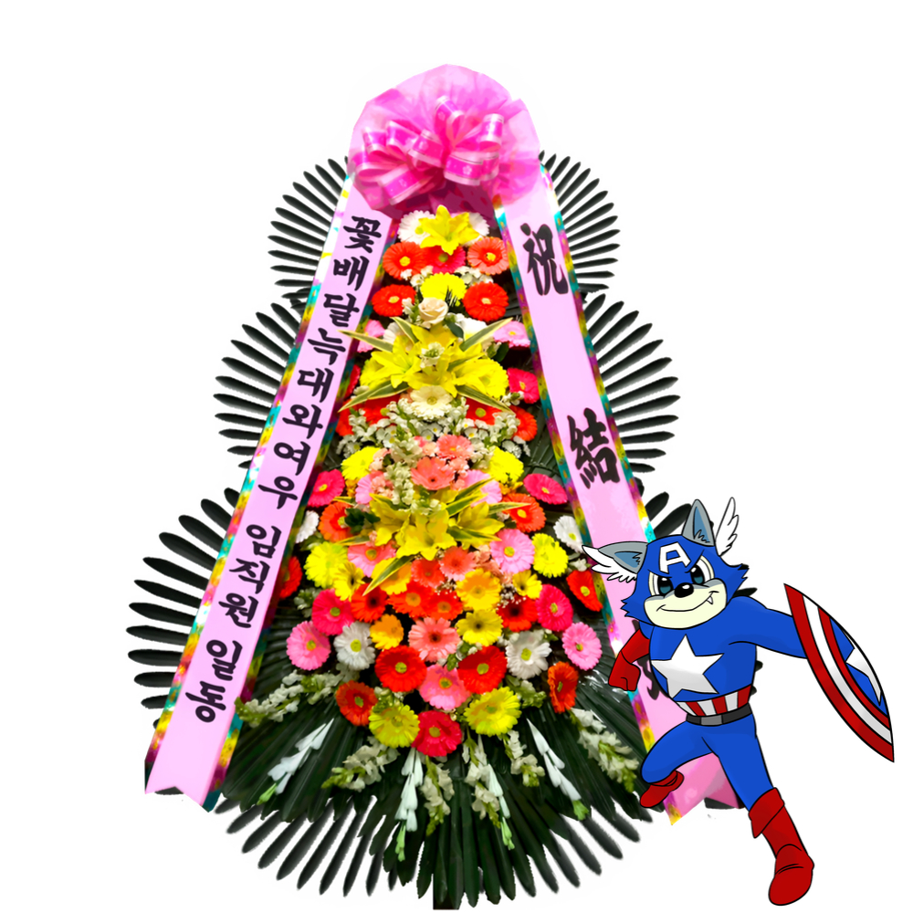 강릉 결혼 축하화환 : 꽃배달 늑대와여우