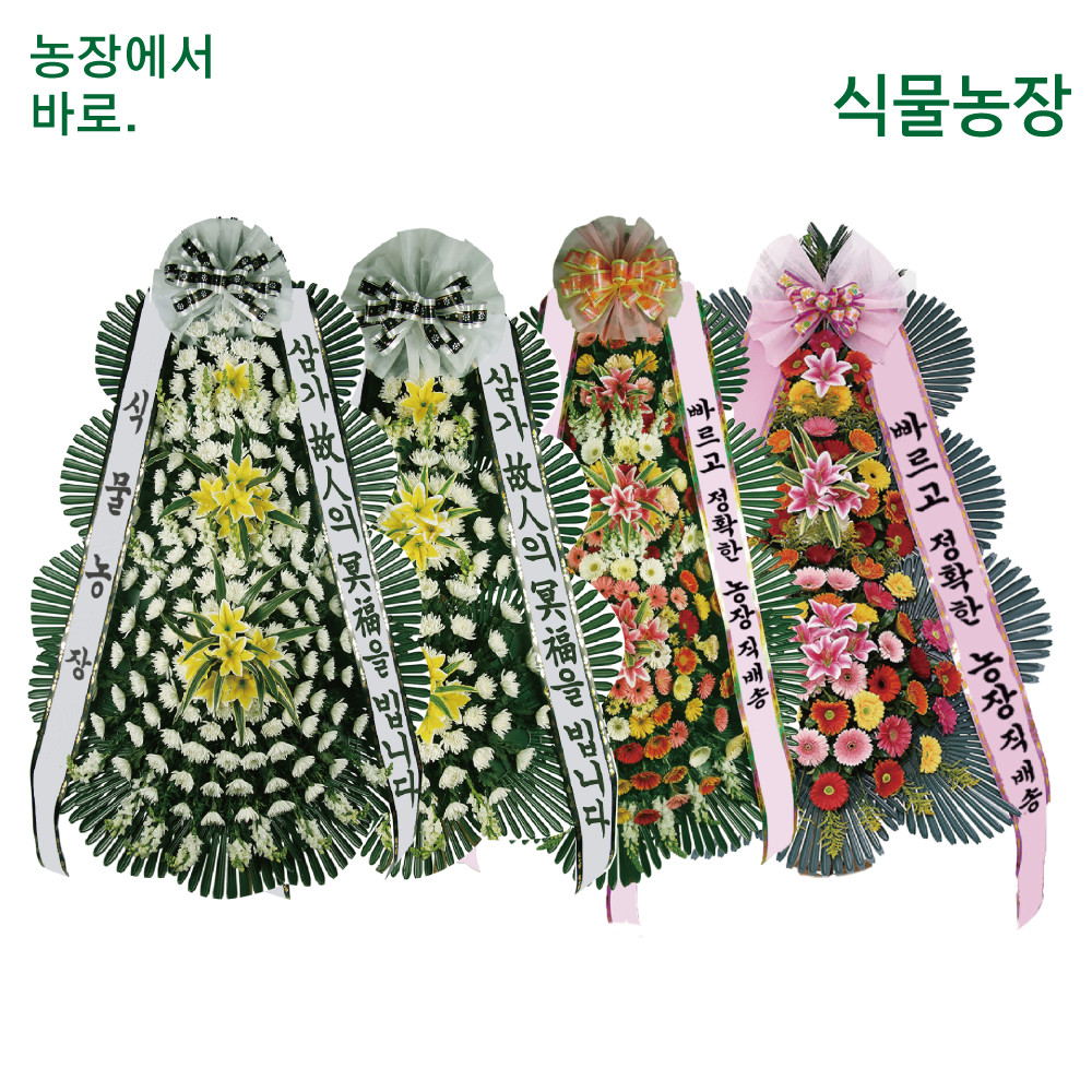화성시 근조화환 한림대동탄병원장례식장 석우동 장례식화환 : 축하화환 근조화환 개업화분