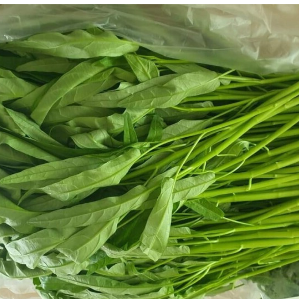 공심채 볶음 모닝글로리 볶음 야채 재료 팍붕 캉쿵 생 공심채 1kg, 1개 : 비그린몰