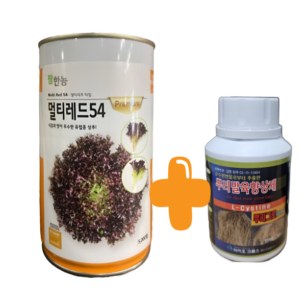 팜한농 유럽상추 대용량 5000립 멀티레드54 버터헤드 로메인 상추 종자 : 농사의신 씨앗백화점