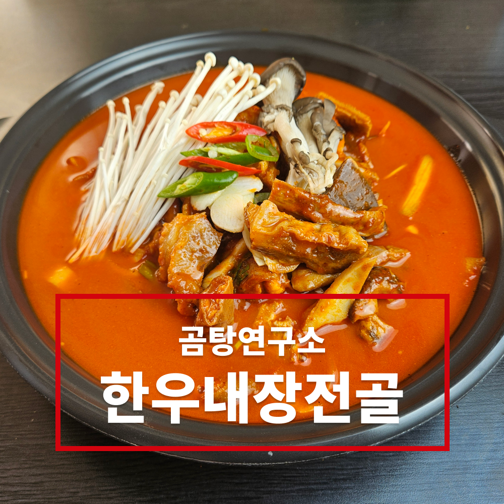 곰탕연구소 국내산 한우 내장 전골 : 테라식품