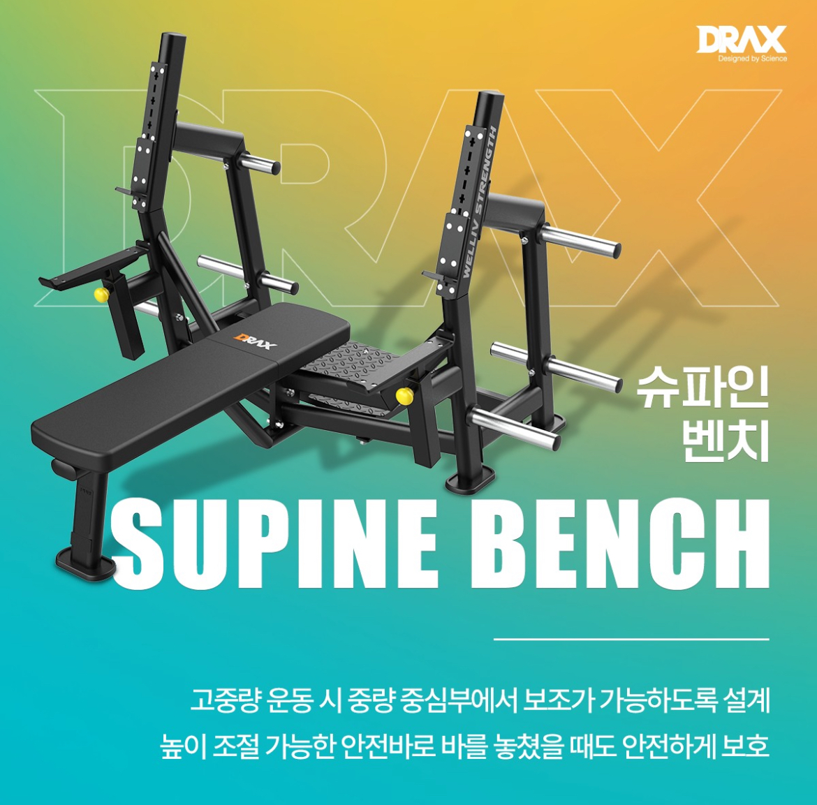 디랙스 DRAX 슈파인벤치 TWF210-1 클럽용 헬스기구 : 윈짐