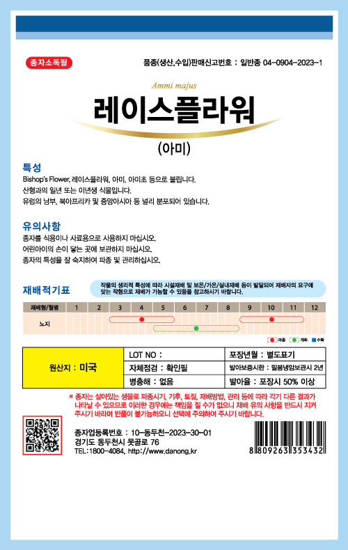 레이스플라워 아미 100립 백색 산형과 일이년생 고급 꽃 씨앗 씨 종자 : 장보고팜스토어