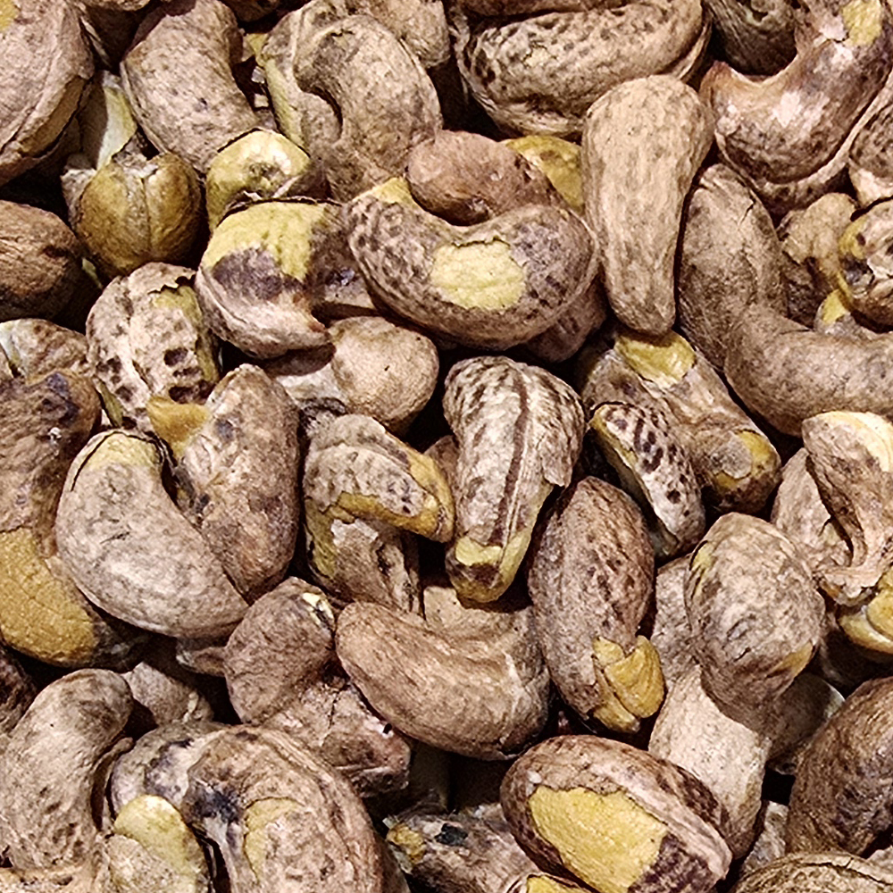 넛츠마을 껍질째구운 볶음 캐슈넛 400g : 63마트